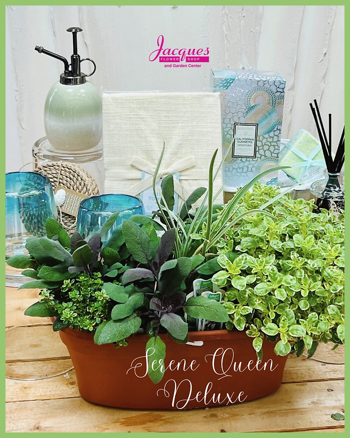 Serene Queen Gift Set