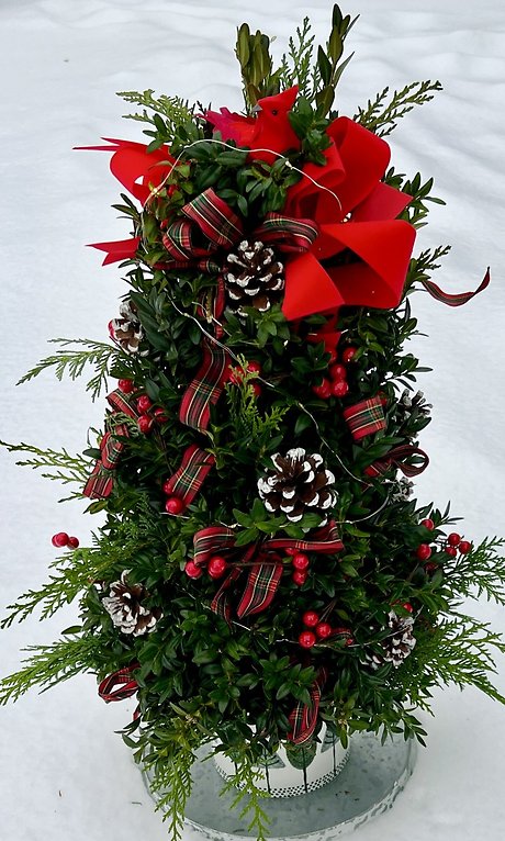 Christmas Cardinal Boxwood Tree