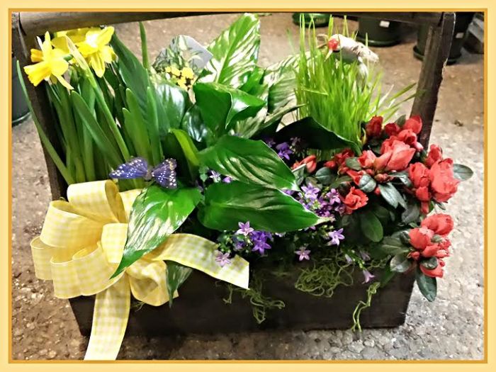 JQE Wooden ToolBox Planter 1