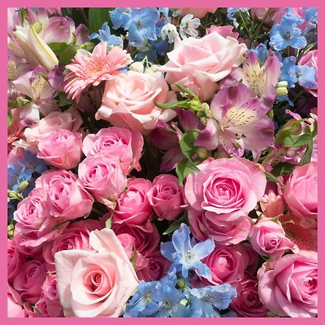 Subscription Blooms! Mix and Match / Designer\'s Choice Arranged