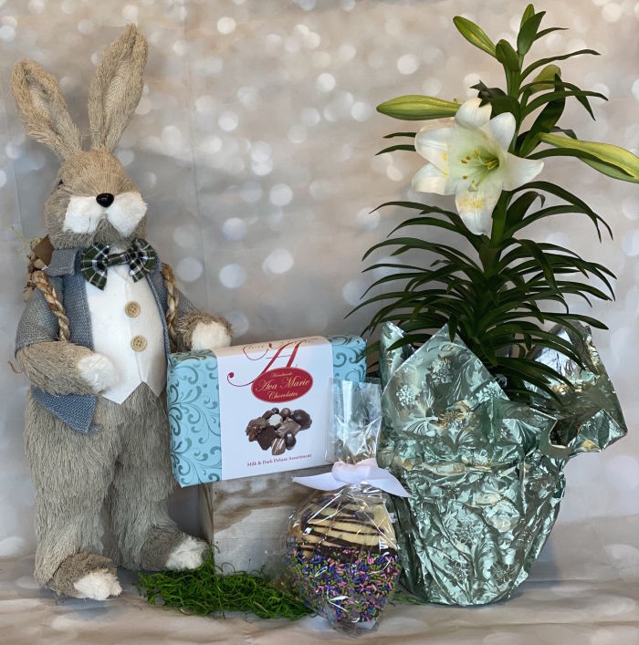 PETER BUNNY BUNDLE