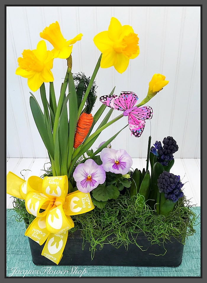 Spring Bulb Garden 2