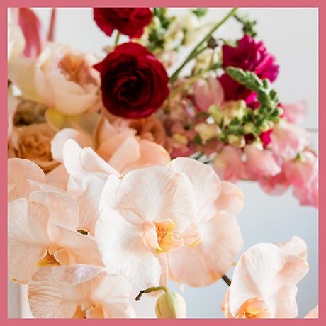 Subscription Blooms! Exquisite Luxury Blooms! Loose Wrap