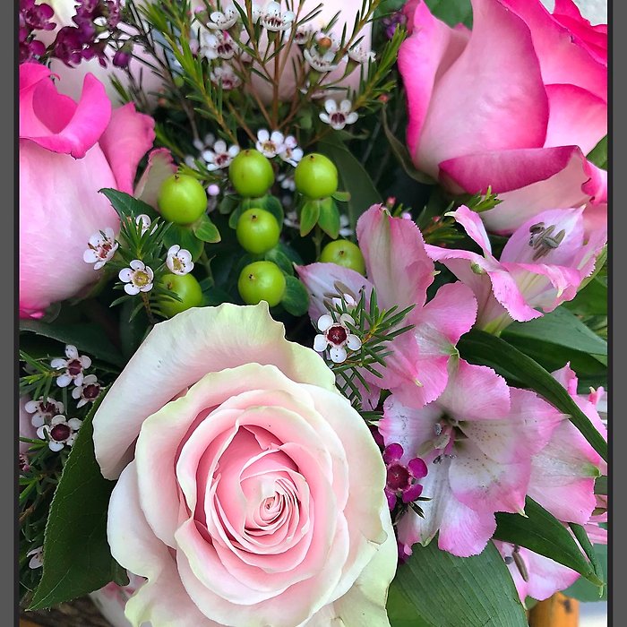 JQMD Mom\'s Rose Garden