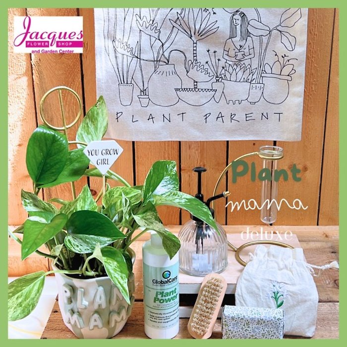 Plant Mama Gift Package