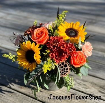 Brilliant Blooms