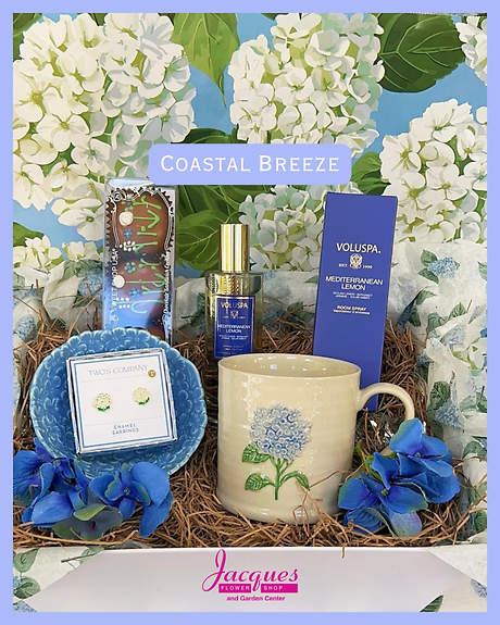 Coastal Breeze Gift Bundle
