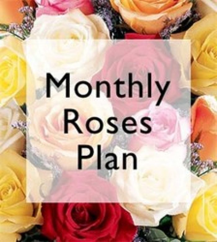 Monthly Rose Plan