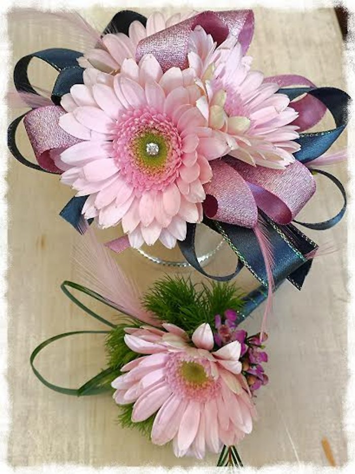 JQP Gerbera Pair