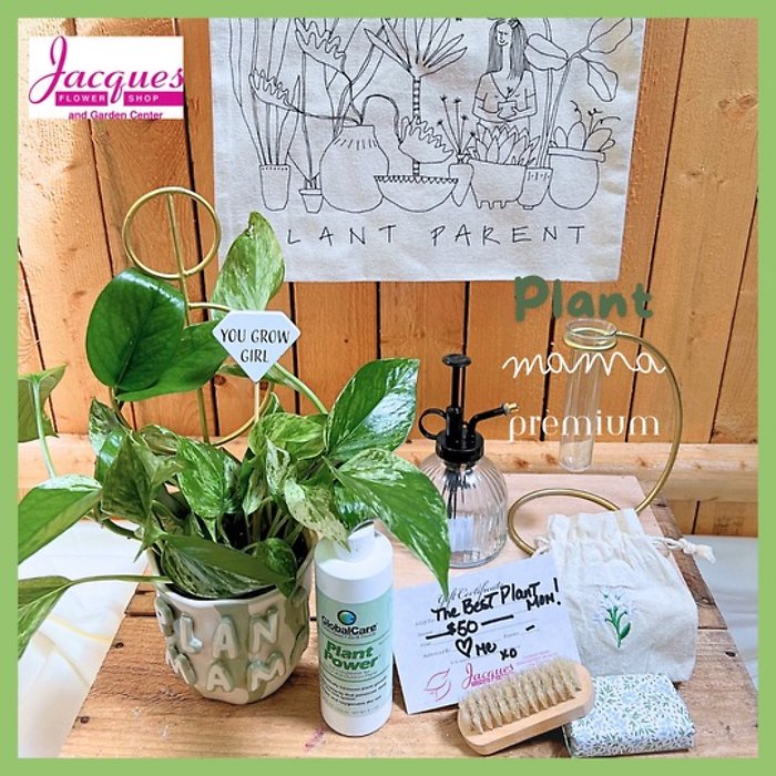 Plant Mama Gift Package