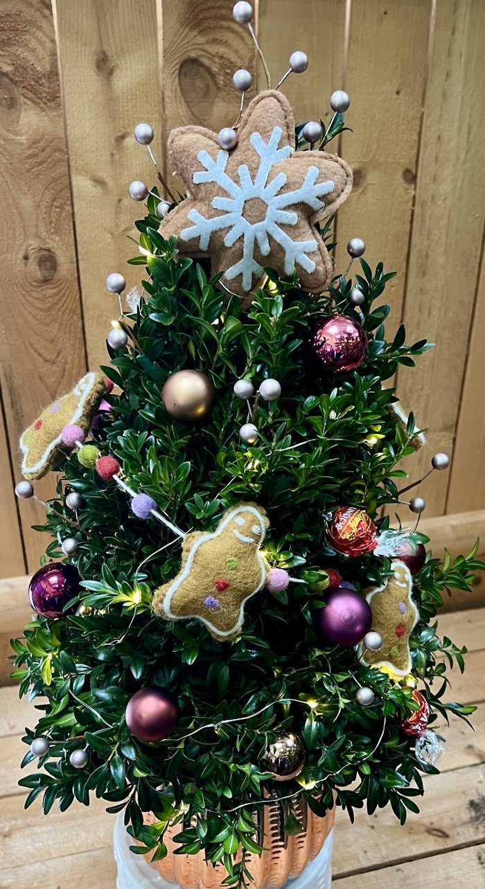 Gingerbread Spice Boxwood Tree