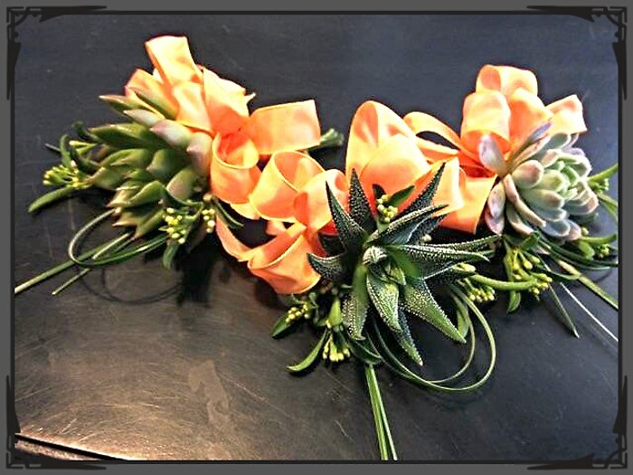 JQP Succulent Corsage Trio