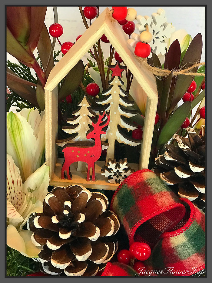 JQ O, Christmas Tree!