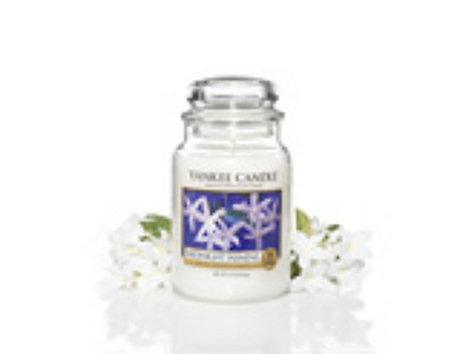 Yankee Candle Midnight Jasmine