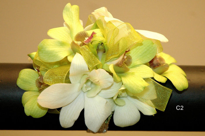 JQP Tropical Dendrobiums Wrist Corsage