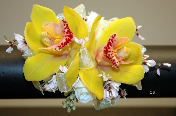 JQP Exotic Mini Cymbidium Orchid Wrist Corsage