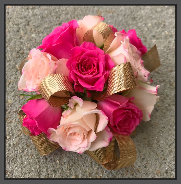 JQP Classic Combined Colors