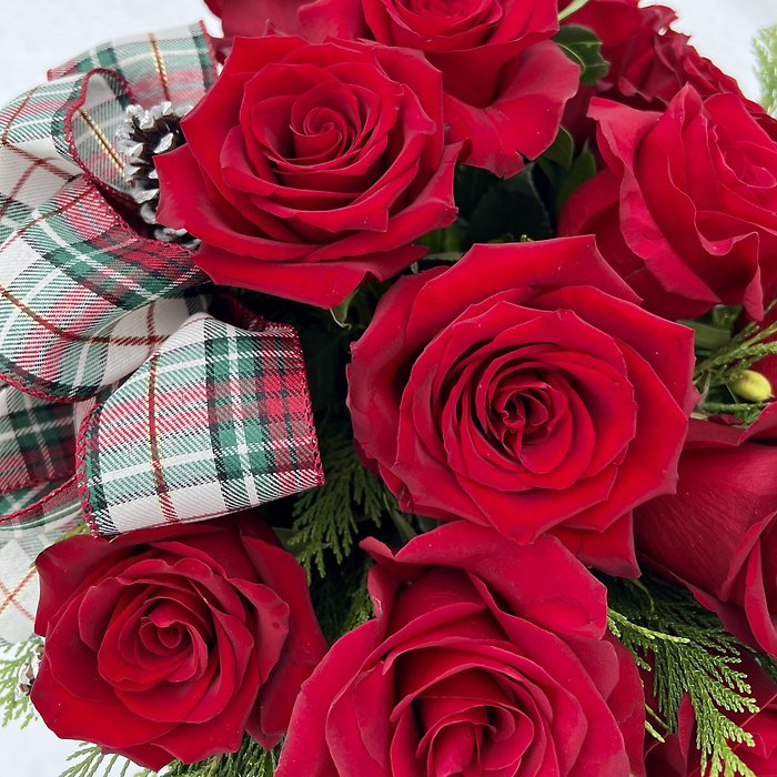 Christmas Love Alpine