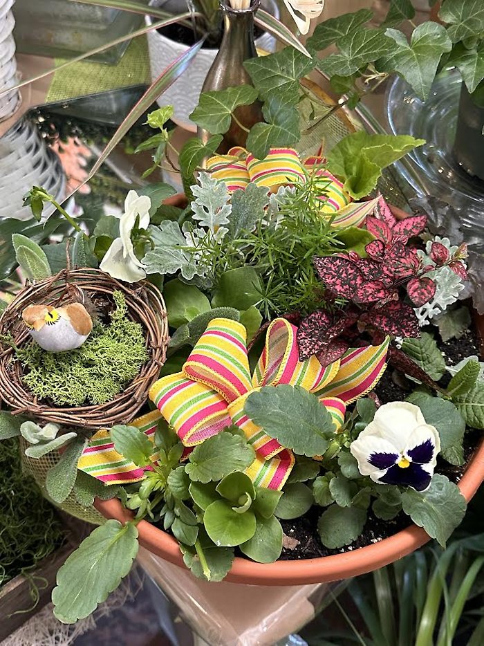 Spring Mix Planter