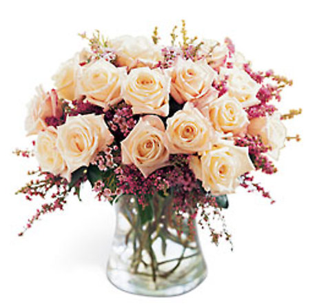 Monticello Roses