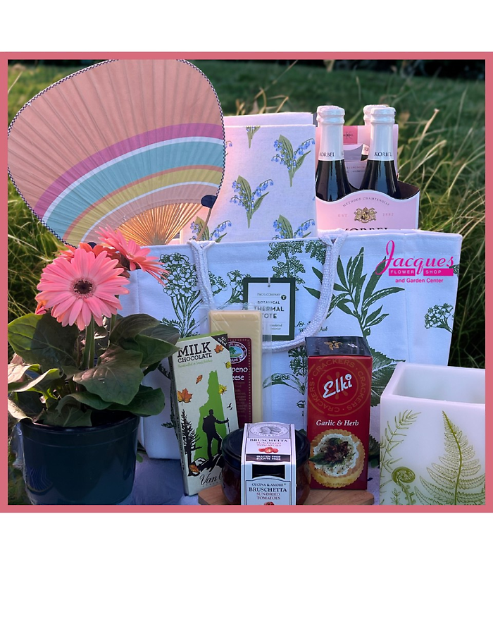 Picnic In The Park! Gift Set