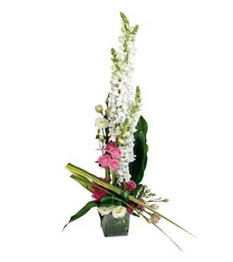 JQ High Top Treasures Bouquet