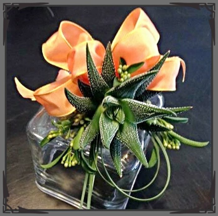 JQP Succulent Corsage Trio