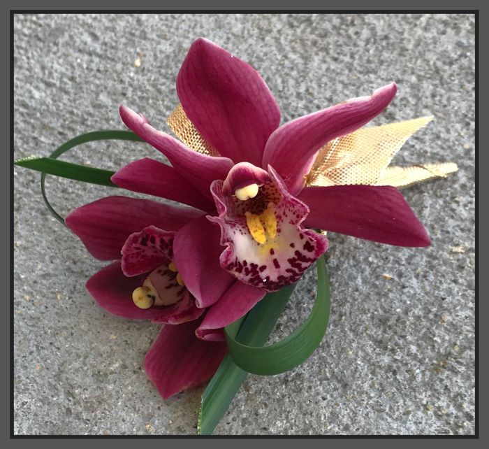 JQP Mini Cymbidium Boutonniere