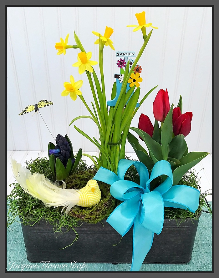 Spring Bulb Garden