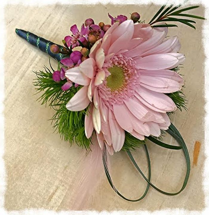 JQP Gerbera Pair