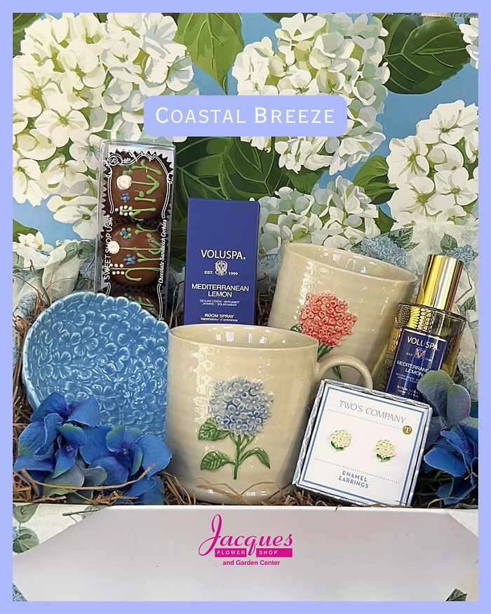 Coastal Breeze Gift Bundle