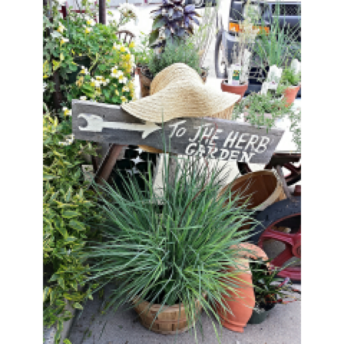 The Herb Cart