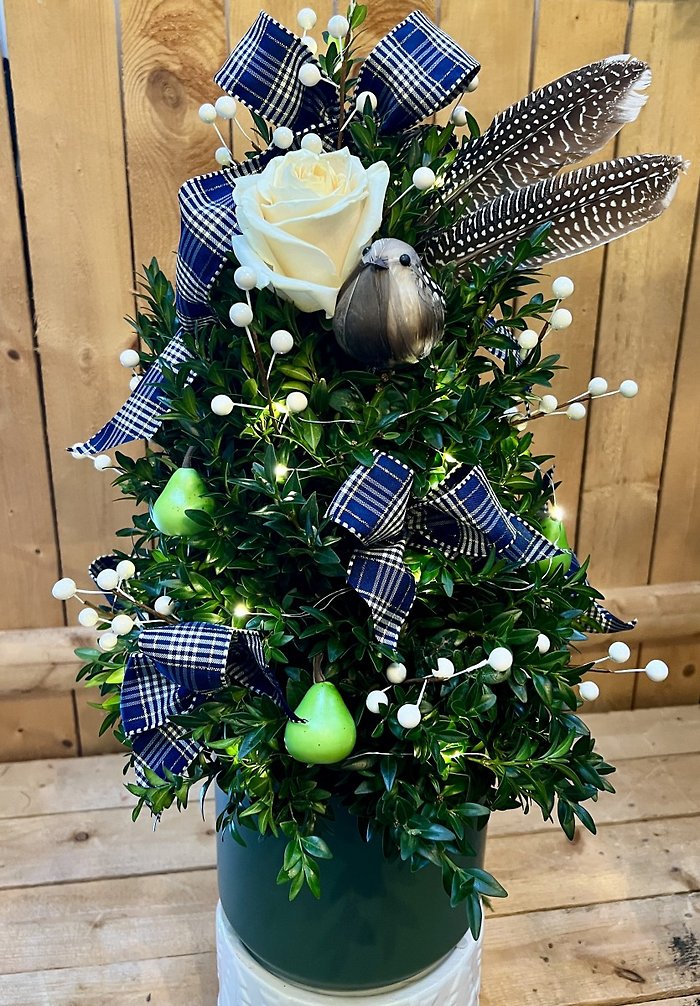 Partridge In a Pear Boxwood Tree