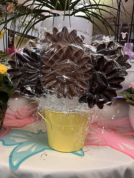 Large Sunflower Chocolate Pops