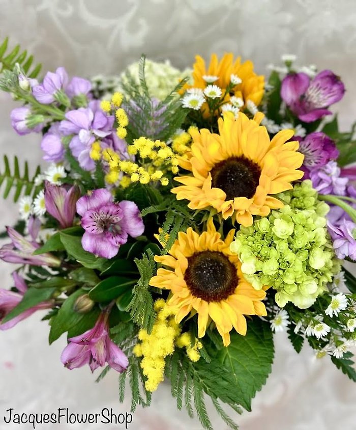 JQ24 You Are My Sunshine!