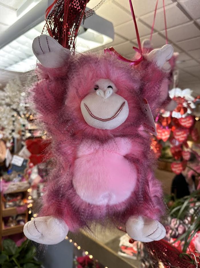 Ramona the Girly Gorilla