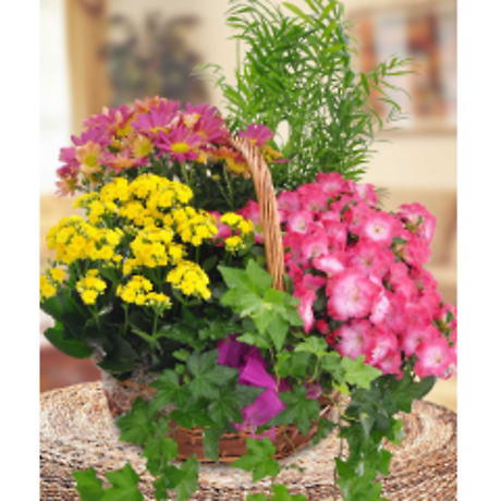 Blooming Garden Basket