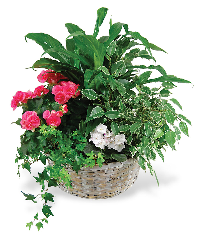 Jacques European Garden Basket