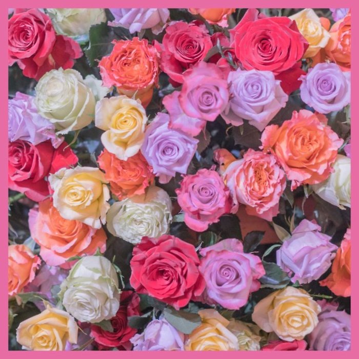 Subscription Blooms! Roses, Roses, Roses!  Arranged