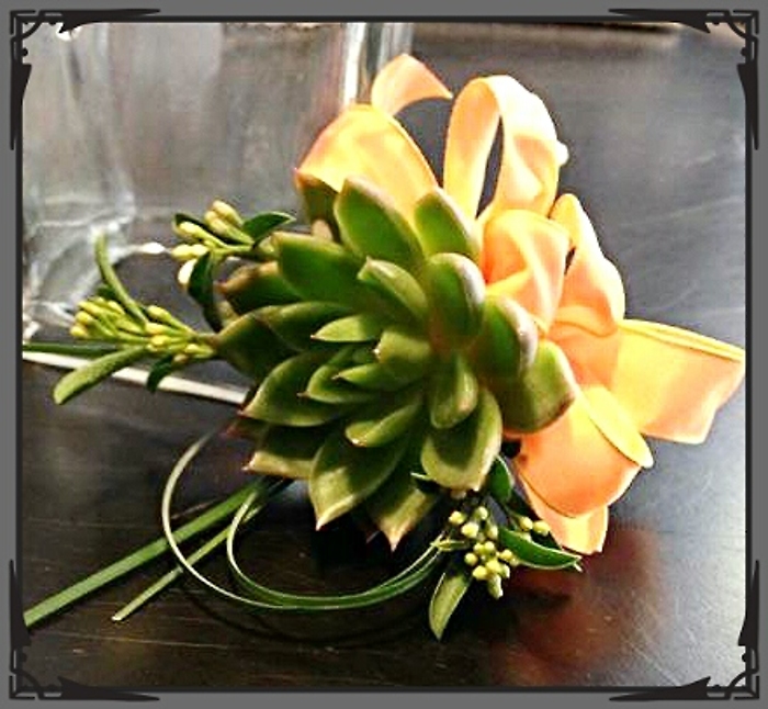 JQP Succulent Corsage Trio