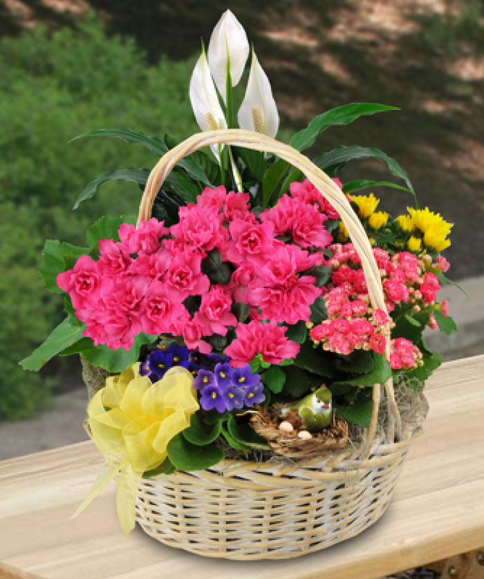 JAC Blooming Garden Basket