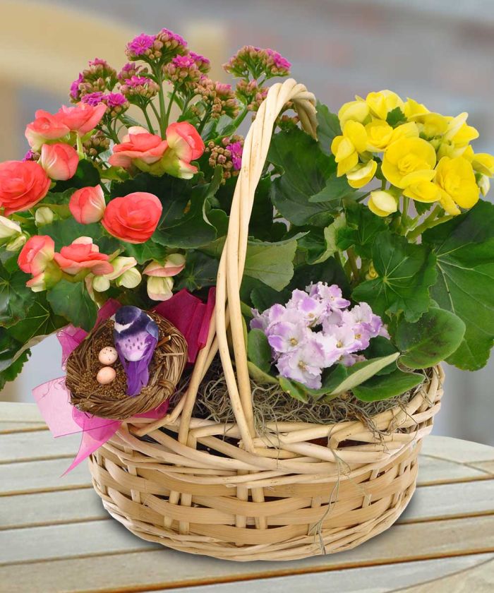 JQMD1513 Blooming European Garden Baskets