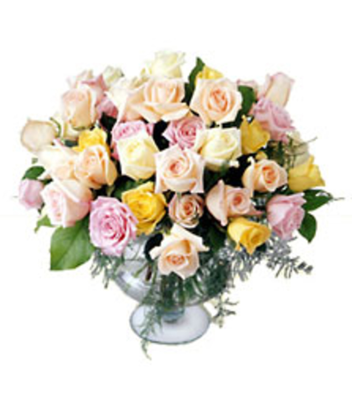 14B Display of Affection
