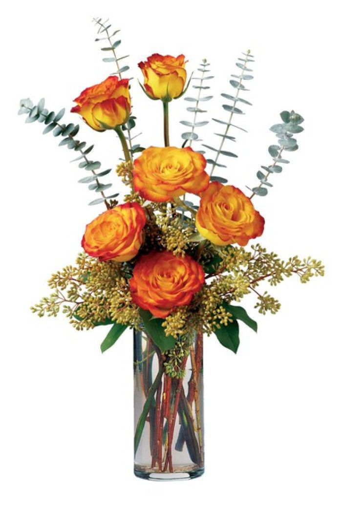 JAC Harvest Roses
