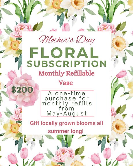 Quiet Luxury Monthly Vase Subscription