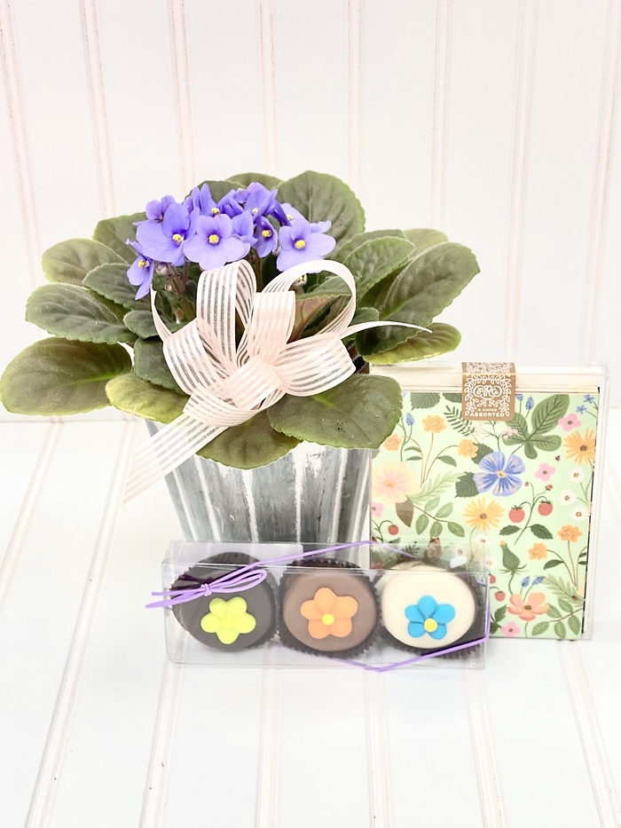 JQ Farmhouse Violet Gift Set
