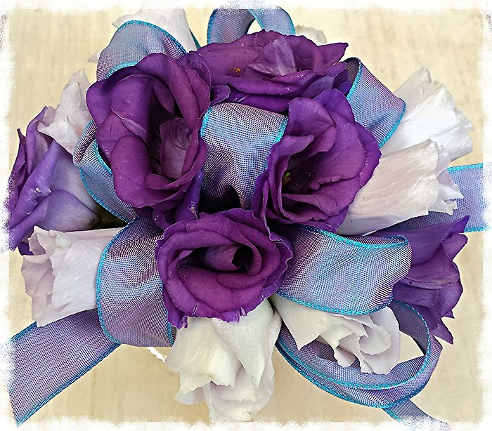 JQP Lisianthus Pair