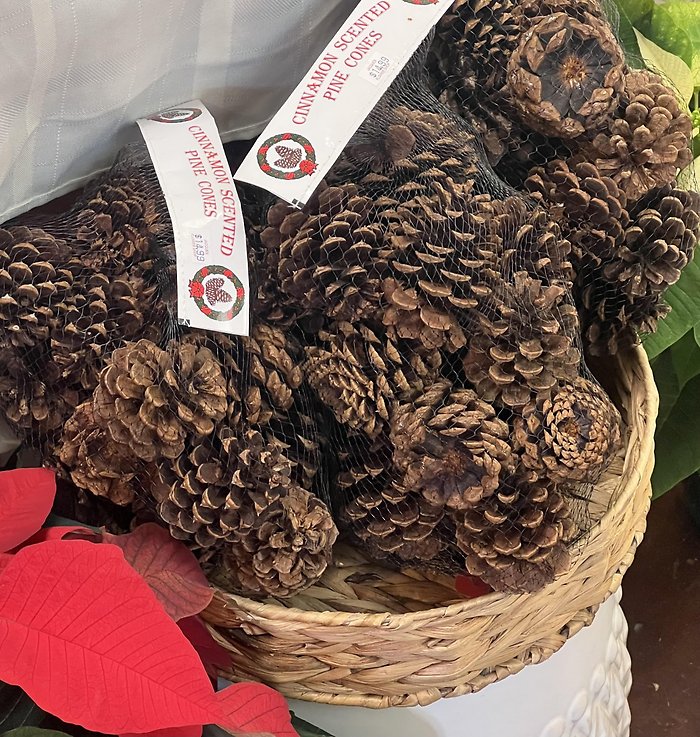 JQ CINNAMON SCENTED PINE CONES