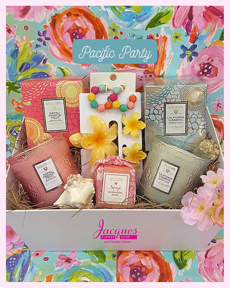 Pacific Party Gift Bundle